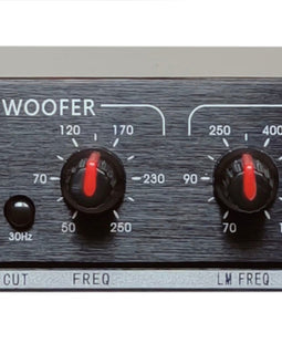 MR DJ DXO300 PRO PA DJ Club Stereo 2/3 Way Plus Subwoofer Crossover