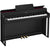 Casio Celviano AP300BK Digital Piano (Black)