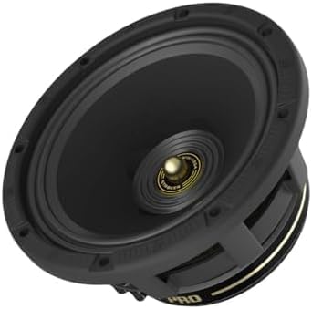 Cerwin Vega CVMPCL10 Stroker Pro 10