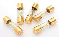 Absolute AGU100 5 Pack AGC Gold Standard Glass Fuses 100 Amp