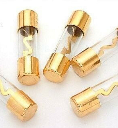 Absolute AGU100 5 Pack AGC Gold Standard Glass Fuses 100 Amp
