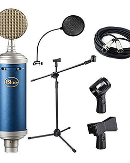 Blue Bluebird SL Large-Diaphragm condenser microphone,Mic Boom Stand,XLR cable and Pop Filter