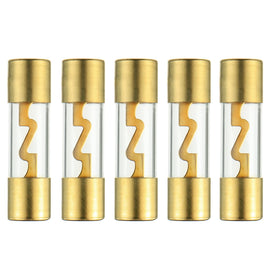 10 MK Audio M-AGU60 60 Amp AGU gold plated fuses round glass fuse