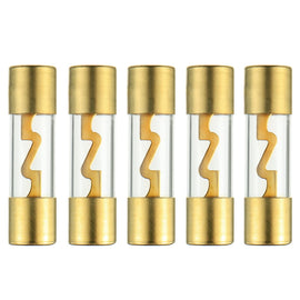 American Terminal TAGU40-10 40 Amp Gold-Plated AGU Glass Fuse (10 Pack)