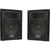 Peavey PVi10 Two 10" 100 Watt 2-Way Live Pro Audio Speaker System