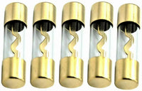 Absolute AGU40-5 5-Pack 40 Amp Gold-Plated AGU Glass Fuses