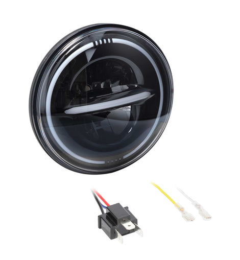 Saddle Tramp BC-709B 7