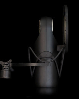 Aston Element Bundle-Large Diaphragm, Active Moving Coil Studio Dynamic Condenser and RibbonTechnology Microphone