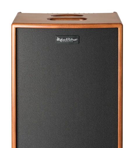Hughes & Kettner ERA2/WD ERA 2 400-watt Acoustic Combo Amp - Wood