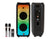 MR DJ FLAME5500LED+ 5500W Dual 12” Bluetooth Rechargeable Party Speaker Flame LED Lights 2 Wireless Mic TWS Portable DJ PA System