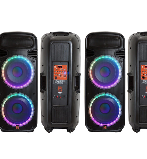 Pair of Dual 15