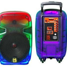 2 MR DJ PL12FLAME 12" Portable Translucent Bluetooth Speaker + Speaker Stand