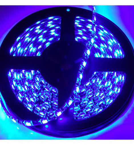 Race Sport Lighting RS-5050-5MB 16ft (5M) 5050 LED Strip (Blue) - Tape Strip Reel Custom Lighting System