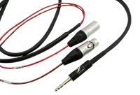 Yorkville PC-6ISXPM 1/4" to 2x XLR Insert Cable - 6'