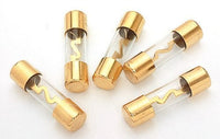 Absolute AGU100 AGU Glass Fuses 5 PCS Car Audio Home Marine Installation