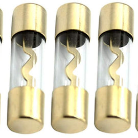 Absolute AGU100 5 Pack AGU Gold Standard Glass Fuses 100 Amp 12 Volts Car Stereo  Home Marine ATV