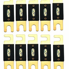 Absolute USA ANL100-10 10 Pack ANL 100 Amp Gold Plated Fuse