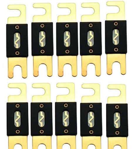 Absolute USA ANL100-10 10 Pack ANL 100 Amp Gold Plated Fuse