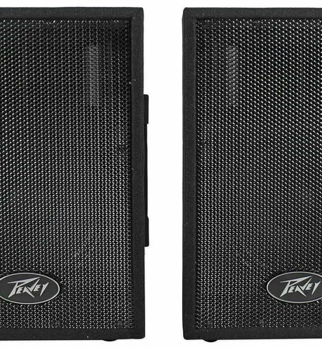 Peavey DJ 2-Way 100 Watt PA Speaker System with 10