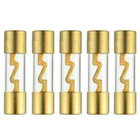 Absolute AGU80-5 80 Amp Gold-Plated AGU Glass Fuse (5 Pack)
