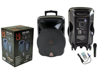 4000W Bluetooth DSP FM Radio USB Portable PA DJ KARAOKE Speaker