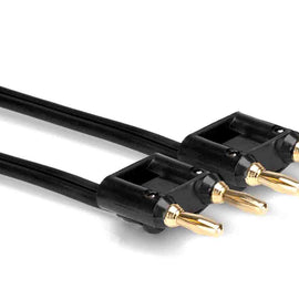 Hosa SKZ-630BB, Dual Banana Male to Dual Banana Male Speaker Cable (30 ft, Black)