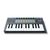 Novation FLKEY-MINI USB MIDI Keyboard Controller for FL Studio (25-Mini Keys)