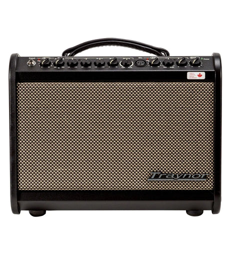 Traynor AMMINI 65 Watt Acoustic Amplifier