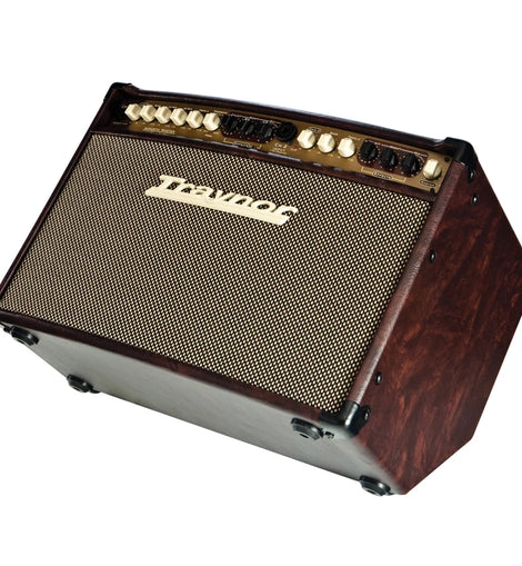 Traynor AMSTANDARD 150 Watt Stereo Acoustic Amplifier