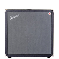 Traynor BM12CMOBILE Battery Powered Bass Amp