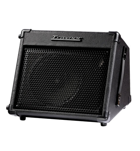 Traynor YGL1 15 Watt Battery Powered Amplifier