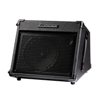 Traynor TVM15 15 Watt Battery Powered Amplifier