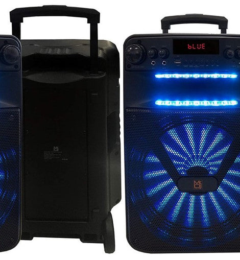 Pair of MR Dj ACE 15