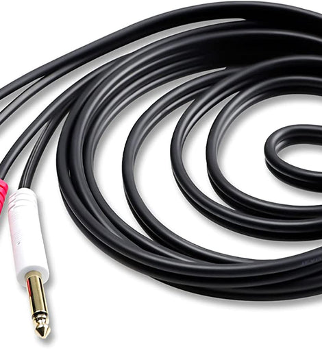 CDQR3 3 Feet Dual 1/4