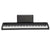 Korg B2N Digital Piano 88-key Digital Home Piano with Natural Touch Keyboard, 12 Sounds, and Built-in Speakers - Black