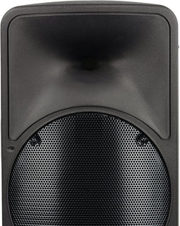 Mackie C200 PA Speaker