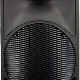 Mackie C200 PA Speaker